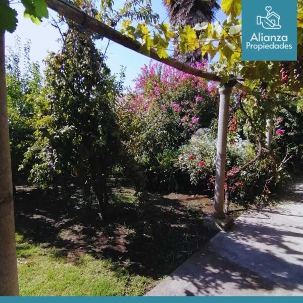 Casa en Arriendo en Coinco - Imagen 57