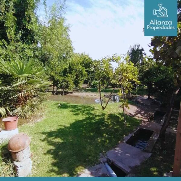 Casa en Arriendo en Coinco - Imagen 71