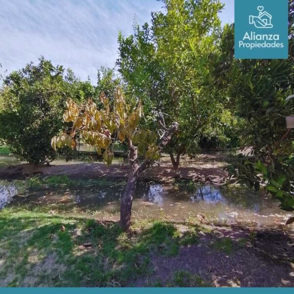 Casa en Arriendo en Coinco - Imagen 76
