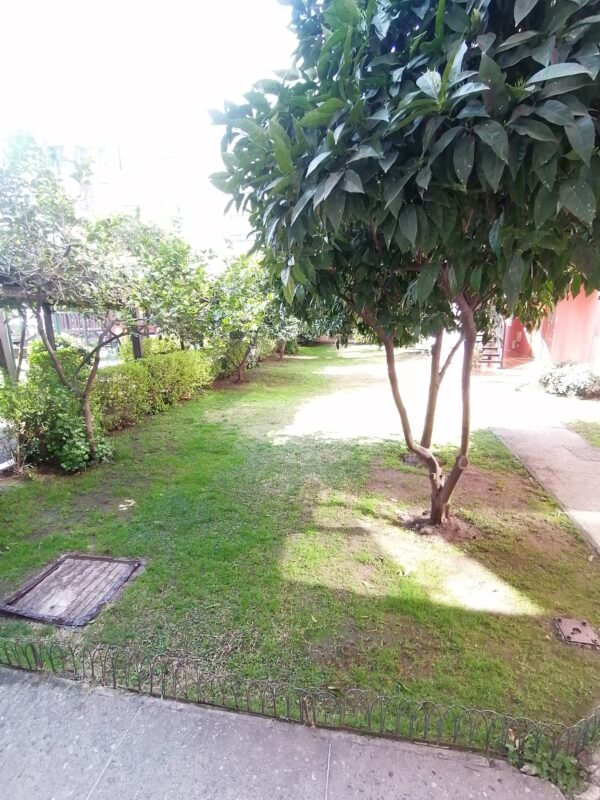 Departamento en Arriendo en Rancagua Centro - Imagen 11